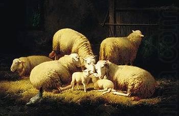 Sheep 062, unknow artist